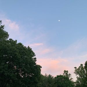 Meet your Posher, Kanessa